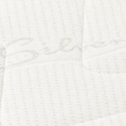 silver_1111.jpg